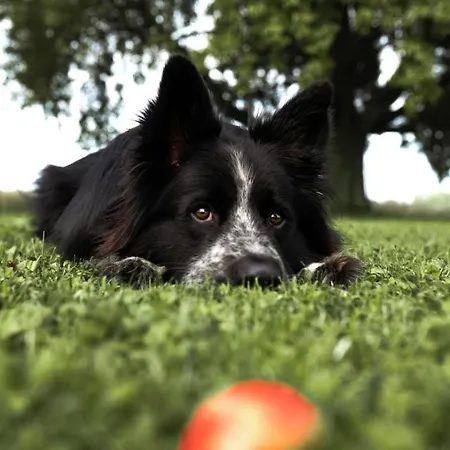 Casa de Férias Taubenhof Simprechtshausen
