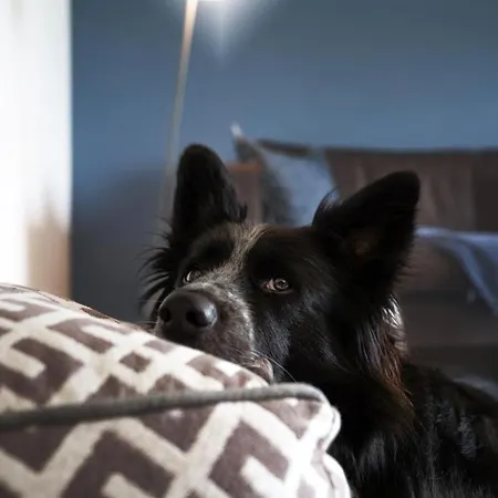 Taubenhof Simprechtshausen